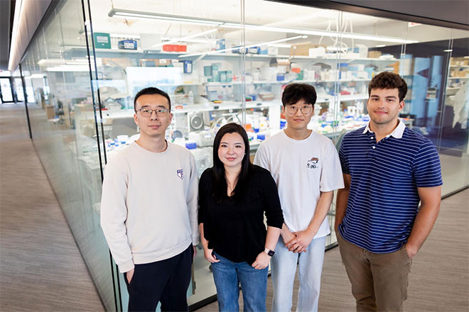 From left: Chunxiao Sun, Xue "Sherry" Gao, Chris Keum, and Harry Hearn.