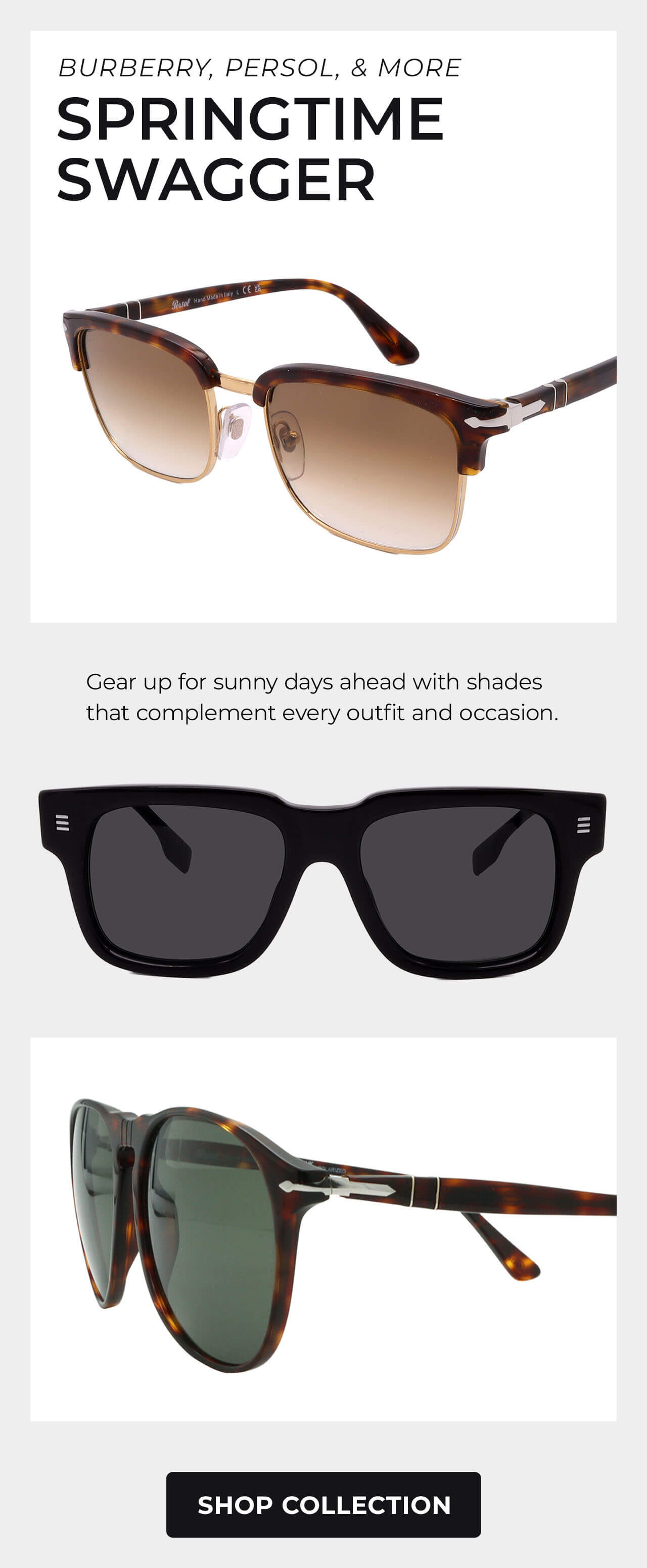 Burberry, Persol, & Oliver Peoples