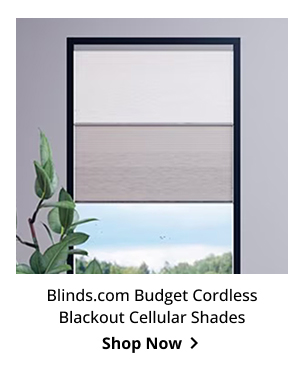 Blinds.com Budget Cordless Blackout Cellular Shades | Shop Now >