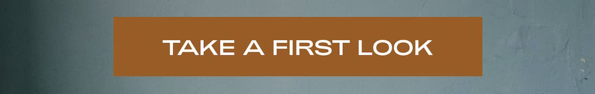 TAKE A FIRST LOOK