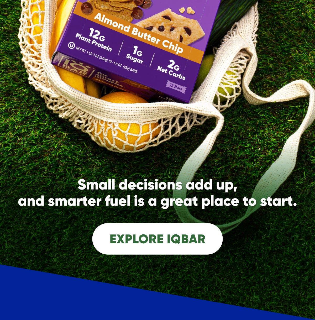 Explore IQBAR