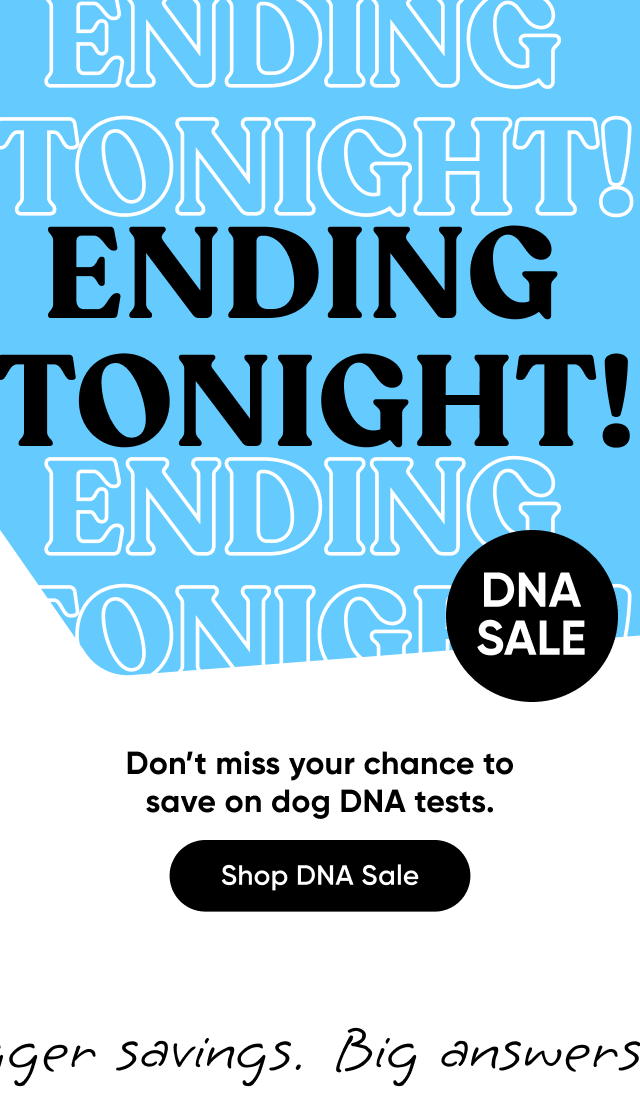 DNA Sale: Ending tonight! Don't miss your chance to save on dog DNA tests, up to $80 off.
