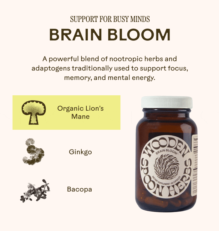 Support for Busy Minds  Brain Bloom A powerful blend of nootropic herbs and adaptogens traditionally used to support focus, memory, and mental energy. Organic Lion’s Mane Ginkgo Bacopa