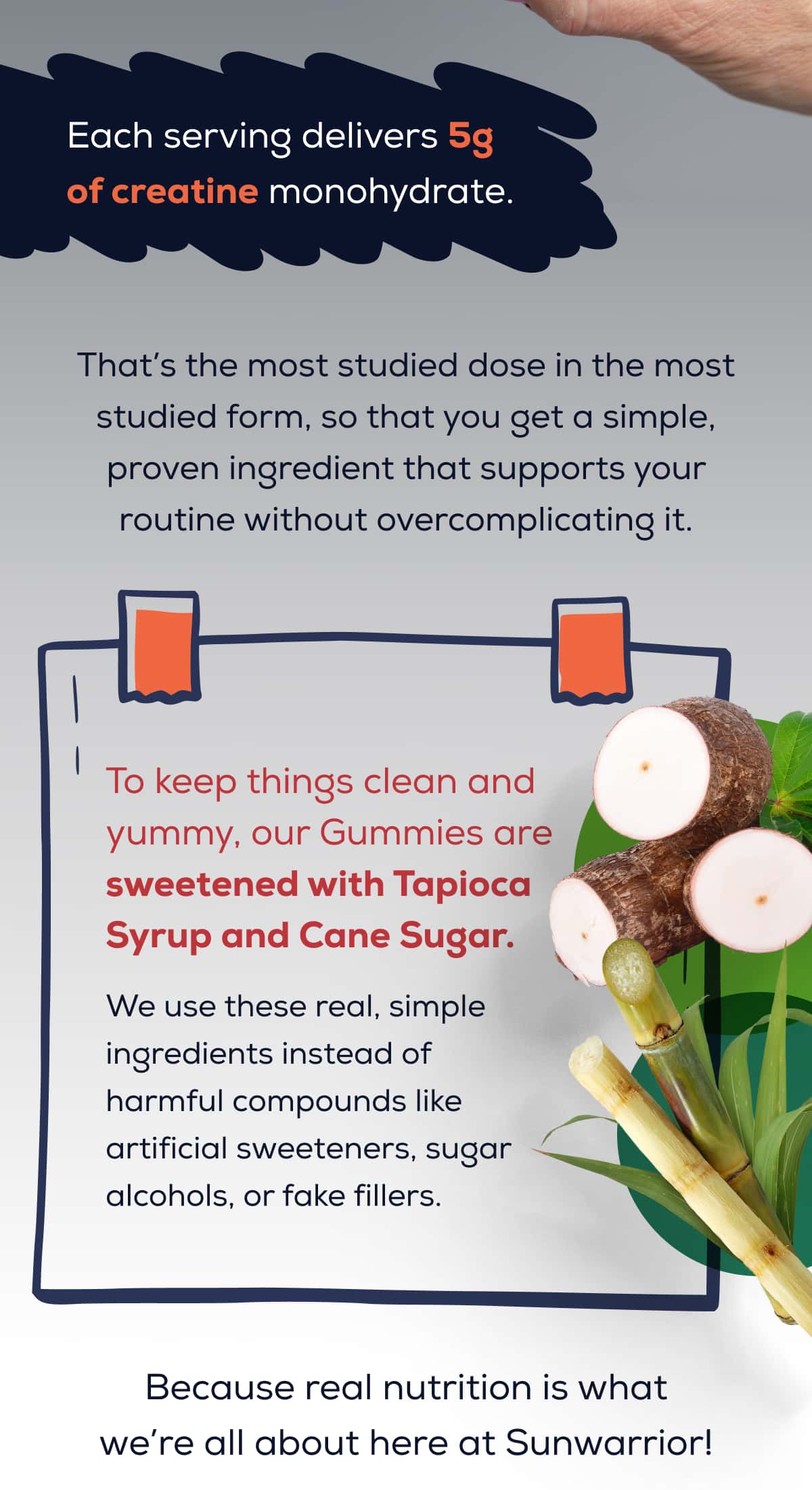 Each serving delivers 5g of creatine monohydrate. That’s the most studied dose in the most studied form, so that you get a simple, proven ingredient that supports your routine without overcomplicating it.  To keep things clean and yummy, our Gummies are sweetened with Tapioca Syrup and Cane Sugar.   We use these real, simple ingredients instead of harmful compounds like artificial sweeteners, sugar alcohols, or fake fillers. Because real nutrition is what we’re all about here at Sunwarrior!