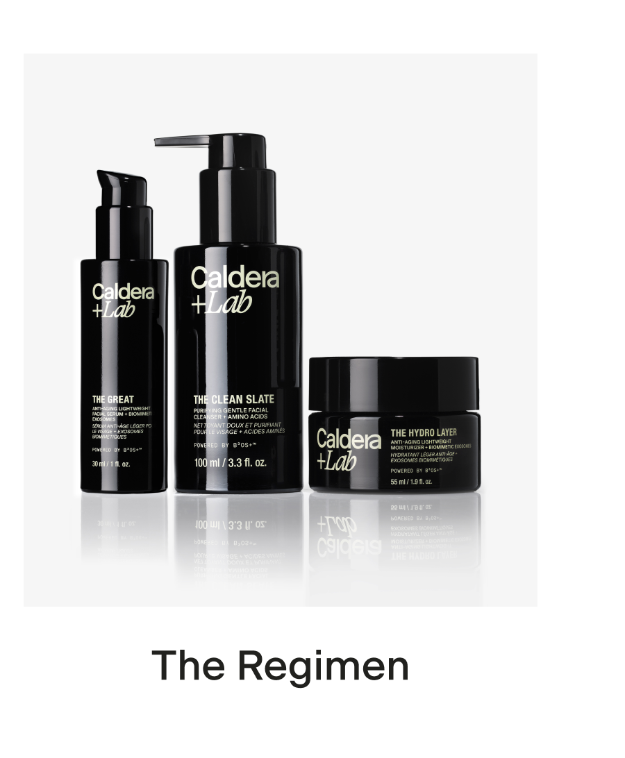 THE REGIMEN