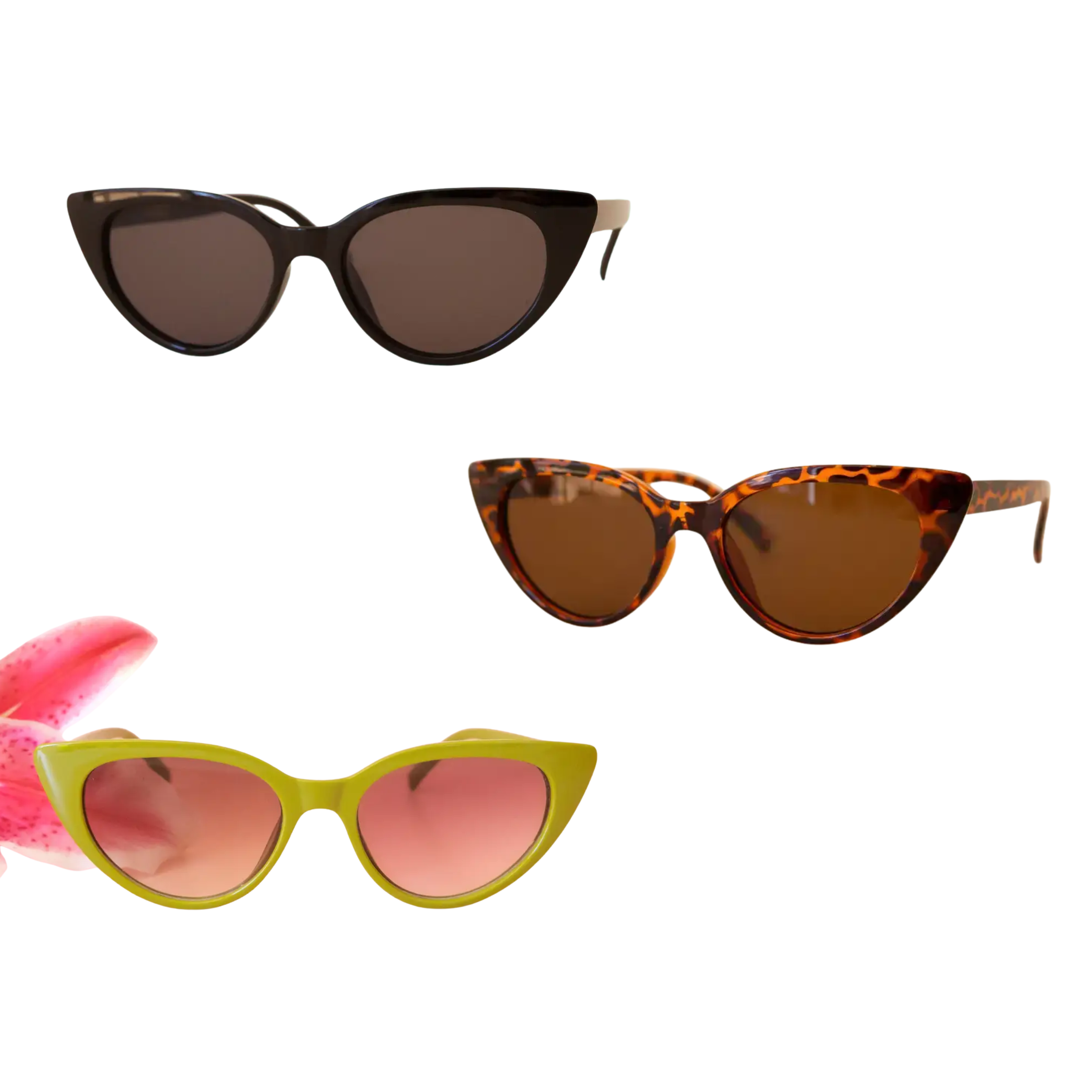 Image of Frenchie Sunglasses