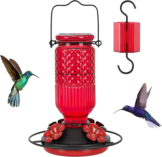Feed Garden Glass Hummingbird Feeder