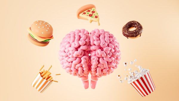 brain surrounded by fries, burger, pizza, doughnut and popcorn