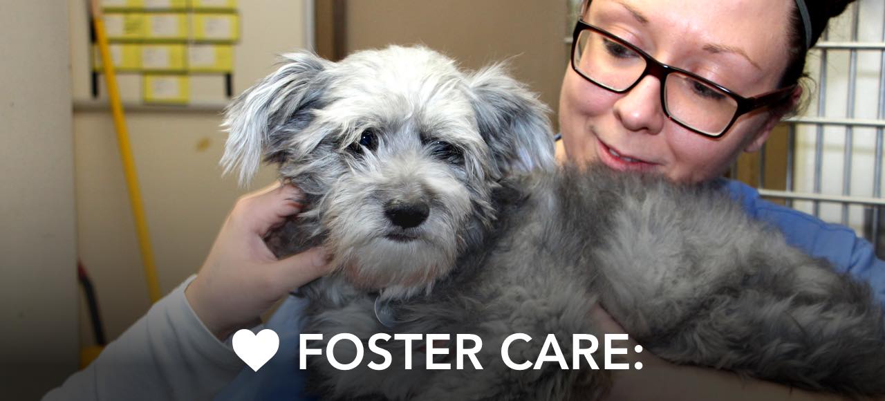 FOSTER CARE:
