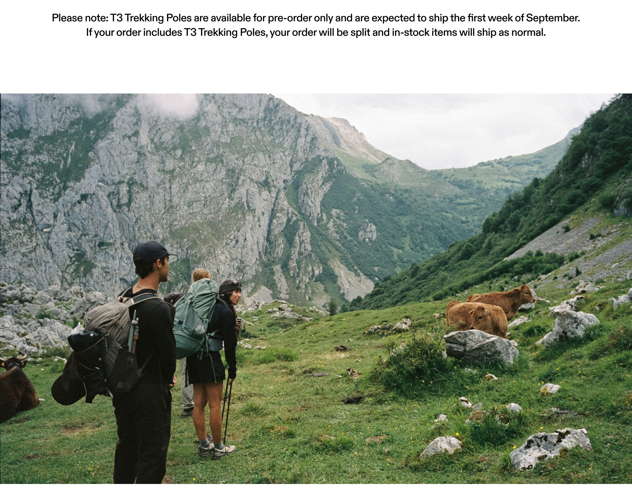 Please note: T3 Trekking Poles are available for pre-order only and are expected to ship the first week of September.  If your order includes T3 Trekking Poles, your order will be split and in-stock items will ship as normal.
