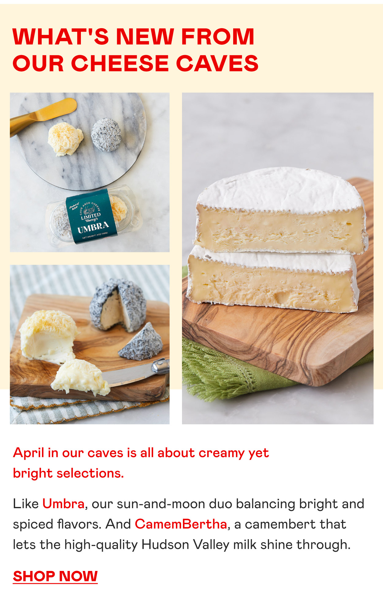 New Cave Aged Cheeses