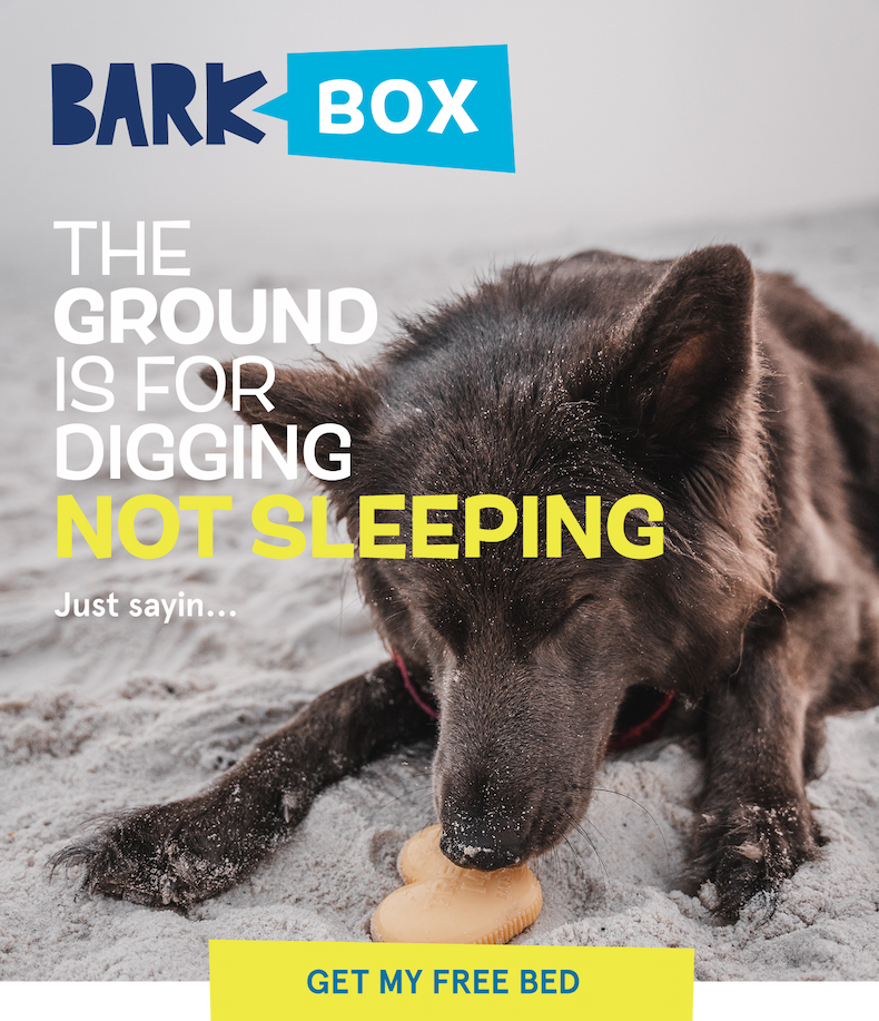 The Ground Is For Digging Not Sleeping | Get My Free Bed