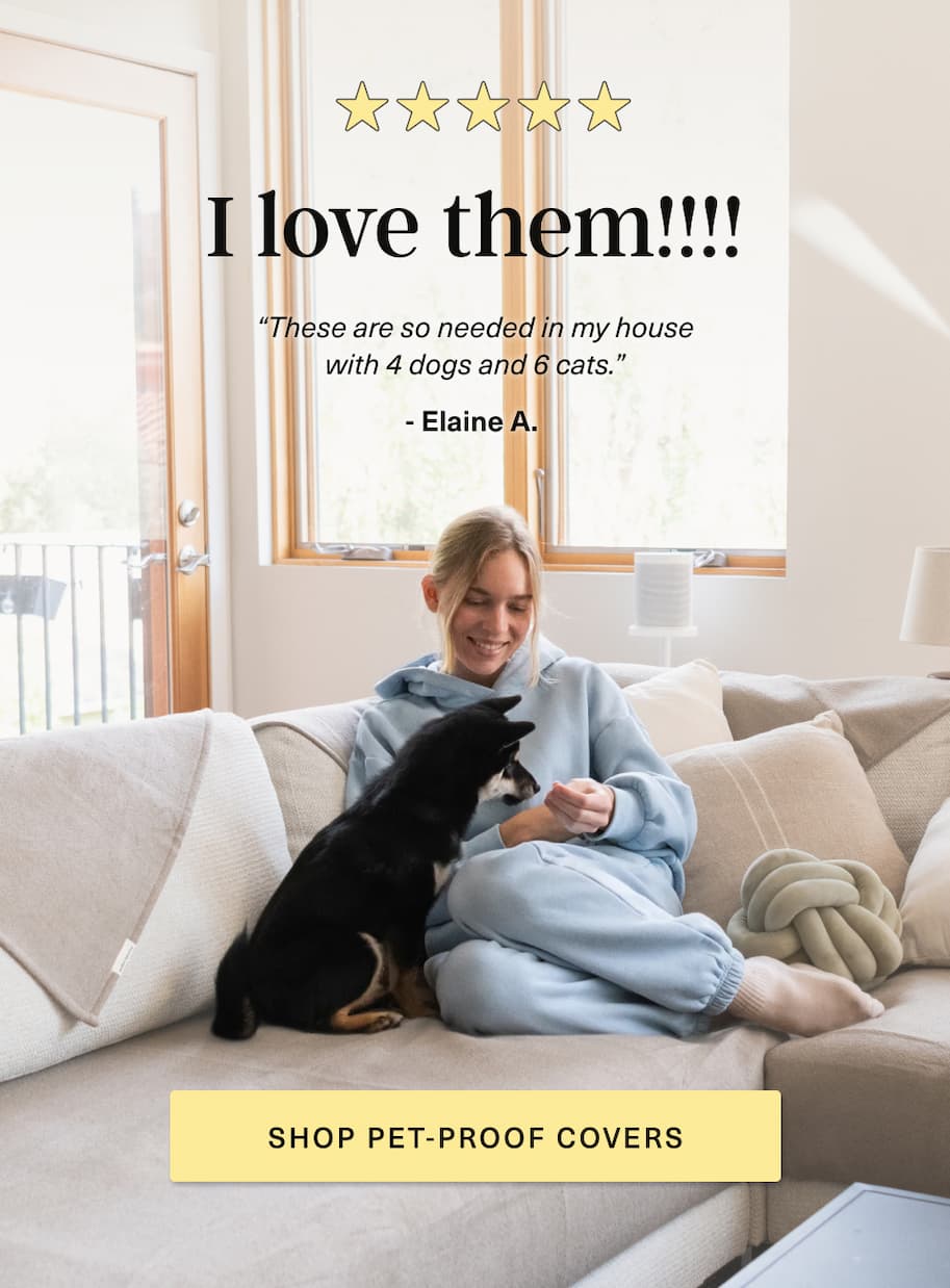 Review: These are so needed in my house with 4 dogs & 6 cats [ SHOP PET-PROOF COVERS ] 