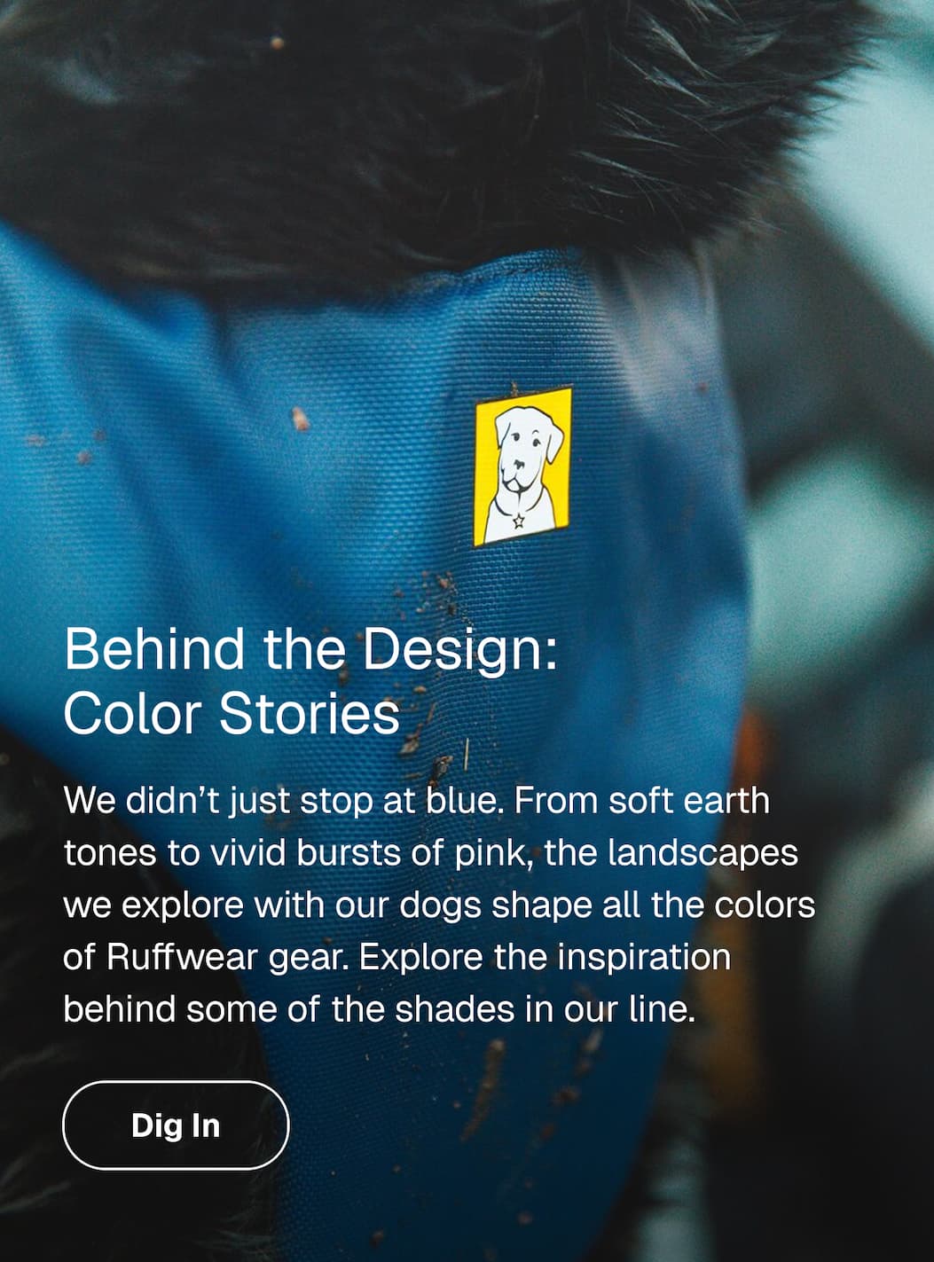 Words read: Behind the Design:  Color Stories. We didn’t just stop at blue. From soft earth tones to vivid bursts of pink, the landscapes we explore with our dogs shape all the colors of Ruffwear gear. Explore the inspiration behind some of the shades in our line.