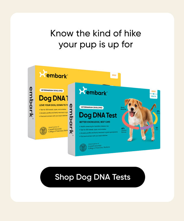 Know the kind of hike your pup is up for