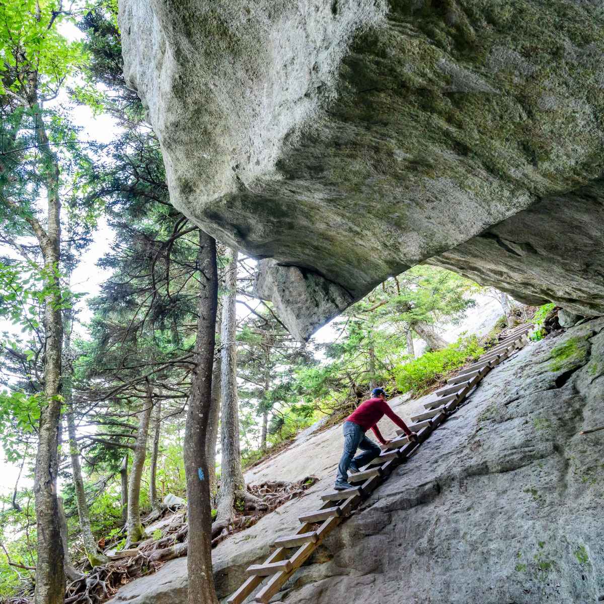 A person climbs a wooden ladder up a rocky mountain