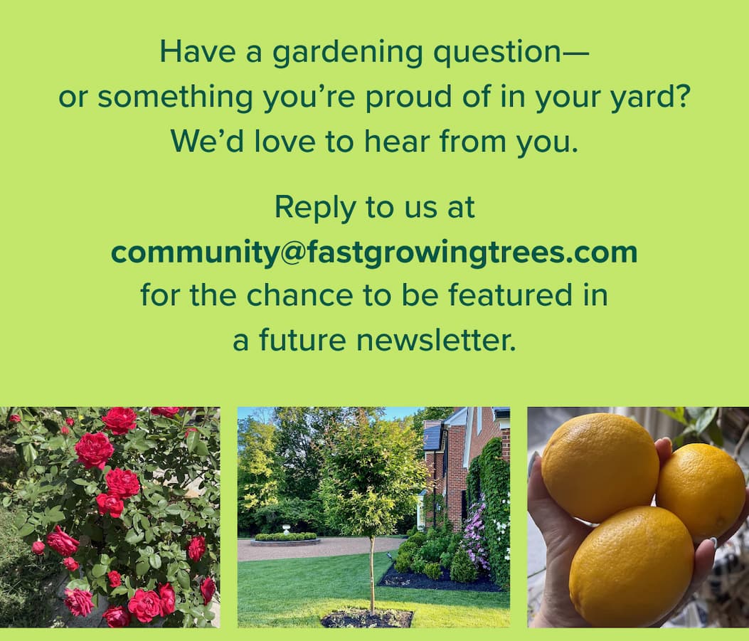 Have a gardening question—or something you’re proud of in your yard? We’d love to hear from you. Reply to us at community@fastgrowingtrees.com for the chance to be featured in a future newsletter.