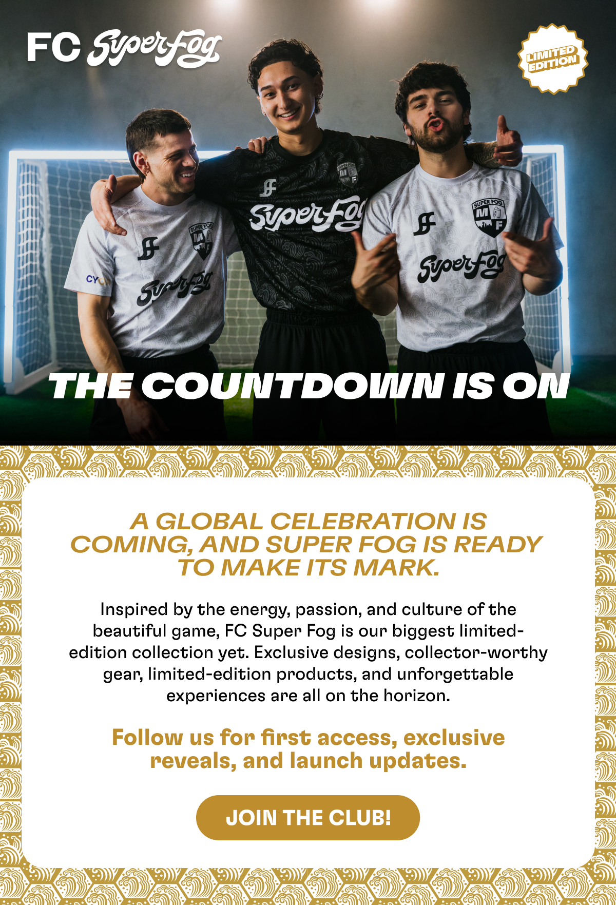 WC-Teaser 2 Email
