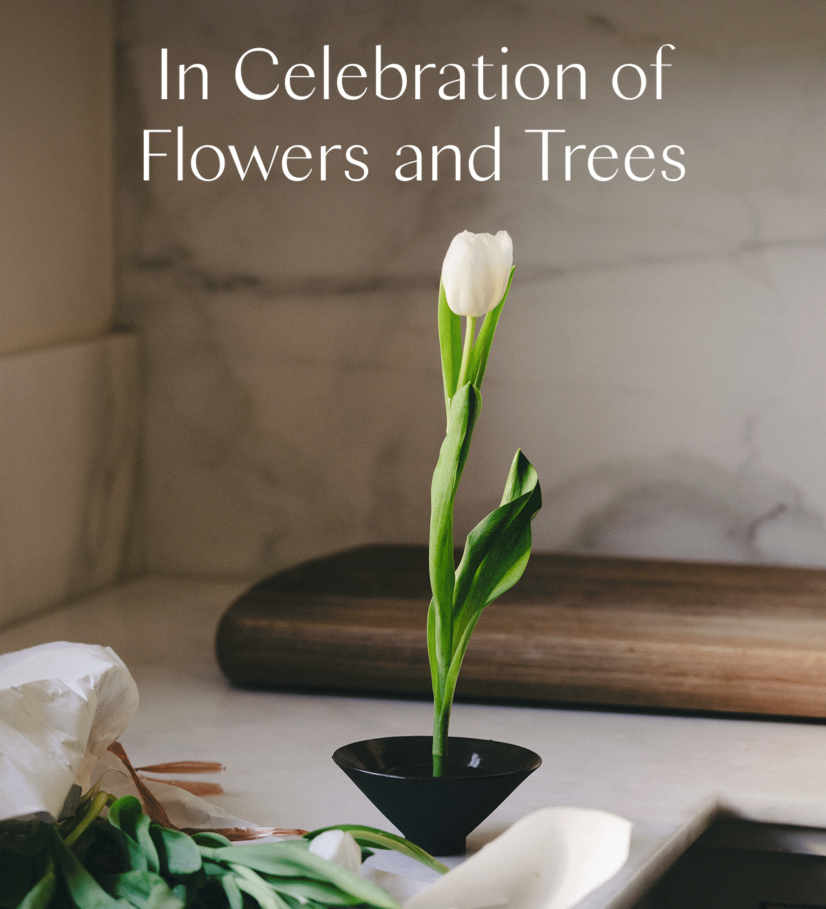 In Celebration of Flowers and Trees 