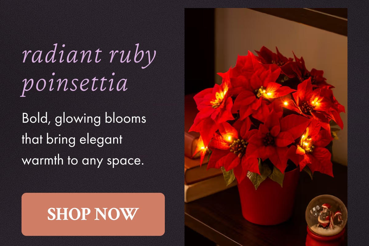 Radiant Ruby Poinsettia - SHOP NOW