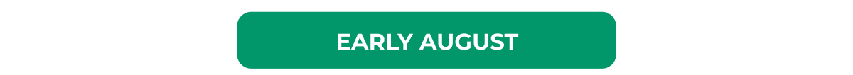 Early August