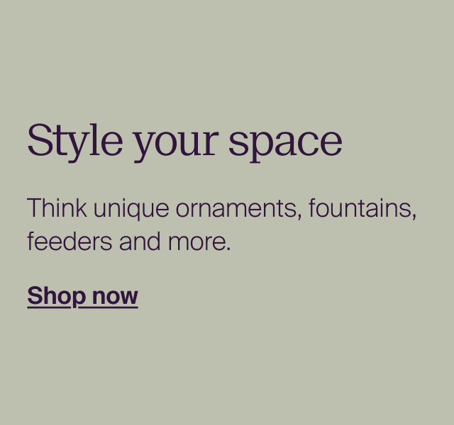 Style your space. Think unique ornaments, fountains, feeders and more. 