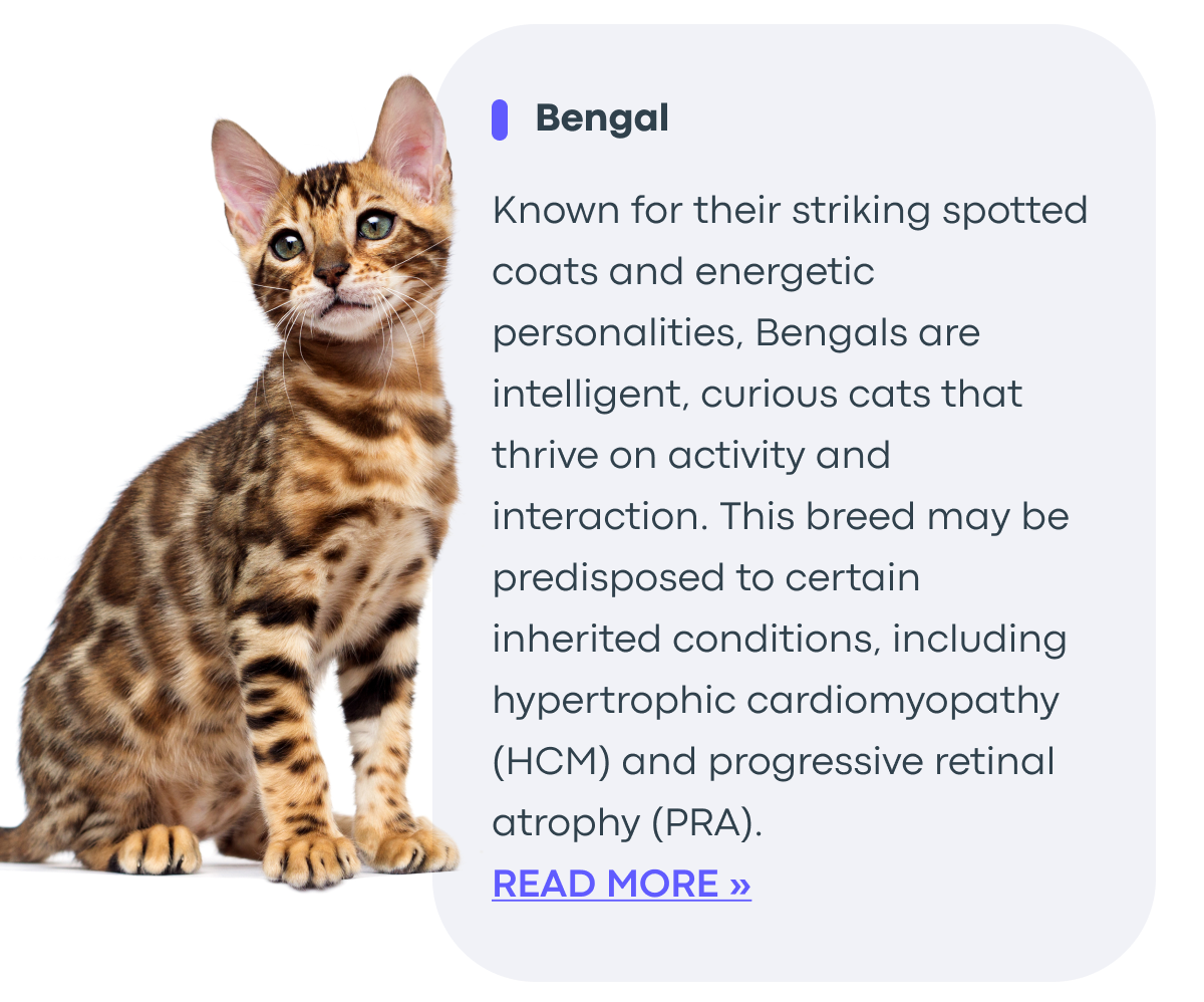 Read More - Bengal