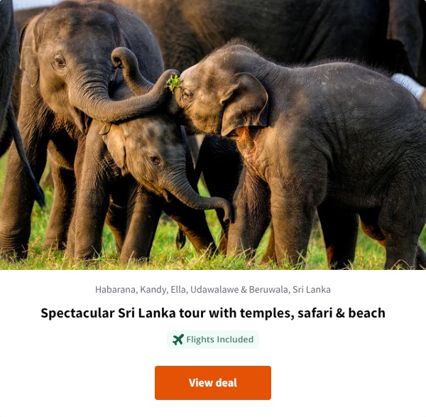 Spectacular Sri Lanka tour with temples, safari &amp; beach