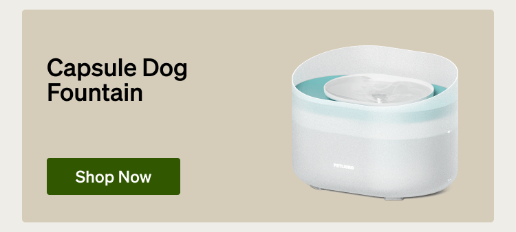 Capsule Dog Fountain