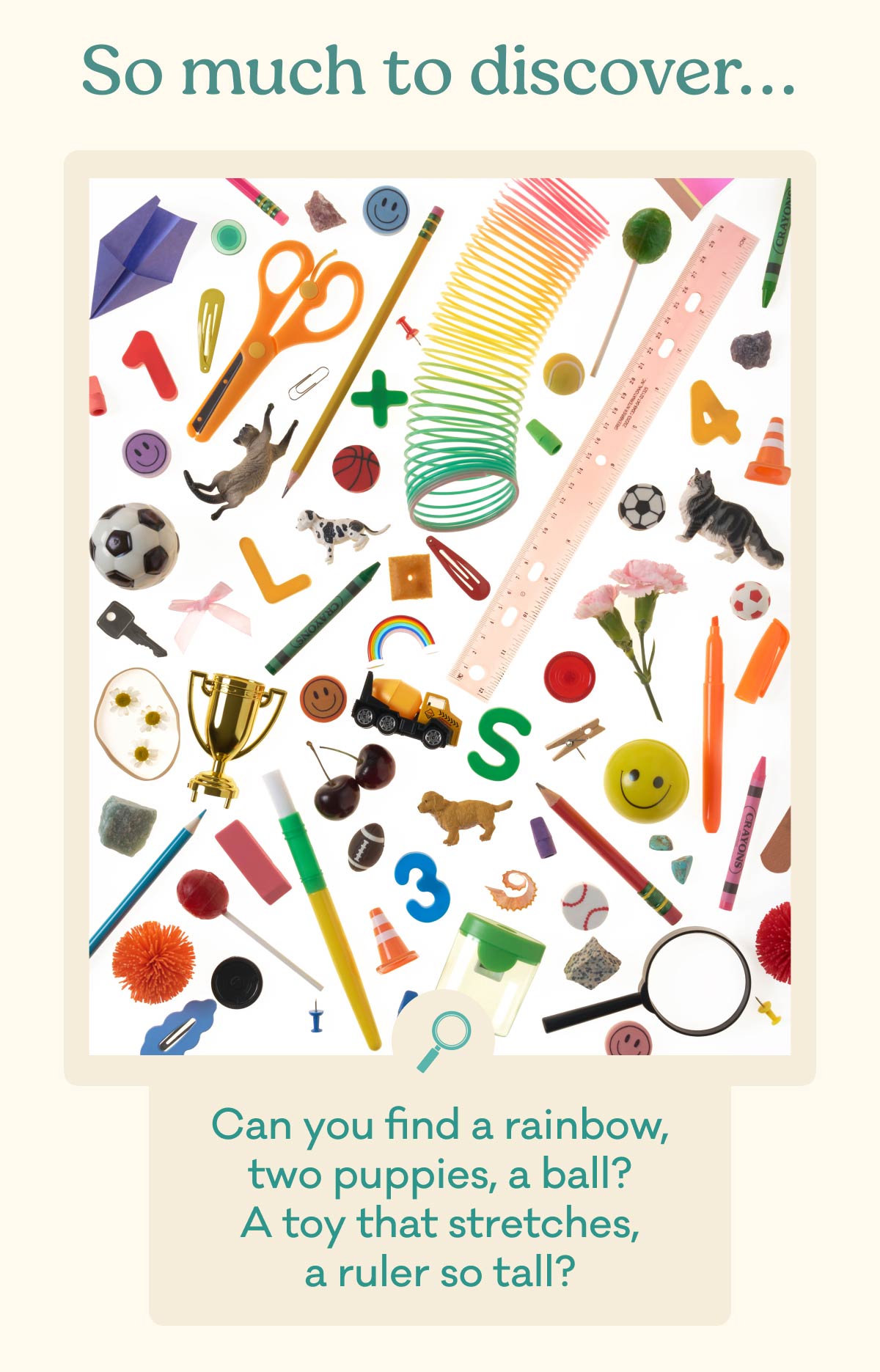 So much to discover... | Can you find a rainbow, two puppies, a ball? A toy that stretches, a ruler so tall?