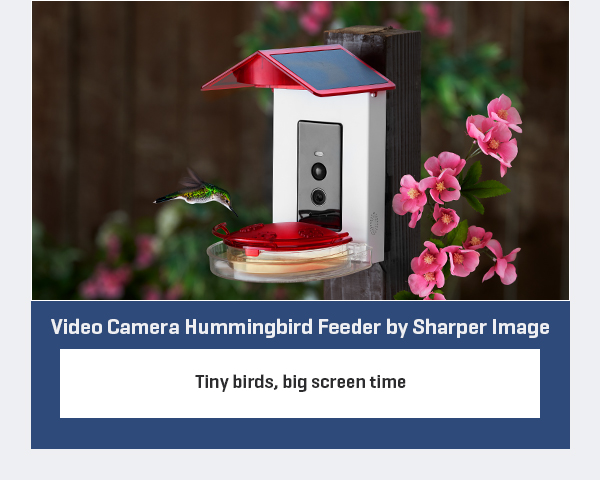 Video Camera Hummingbird Feeder by Sharper Image