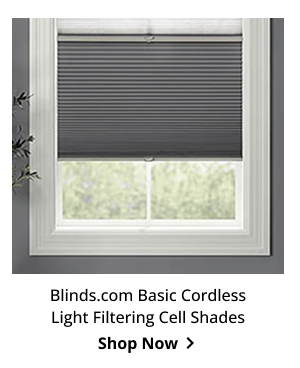 Blinds.com Basic Cordless Light Filtering Cell Shades | Shop Now >