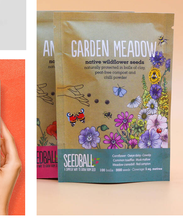 Wildflower Seed Packs For Pollinators And Garden Wildlife