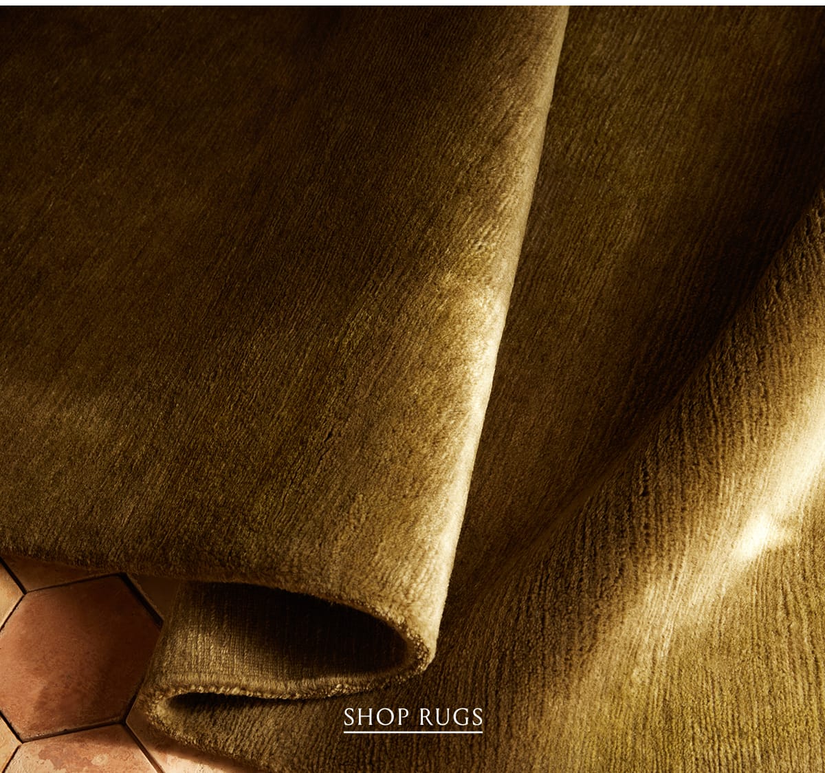 Shop Rugs