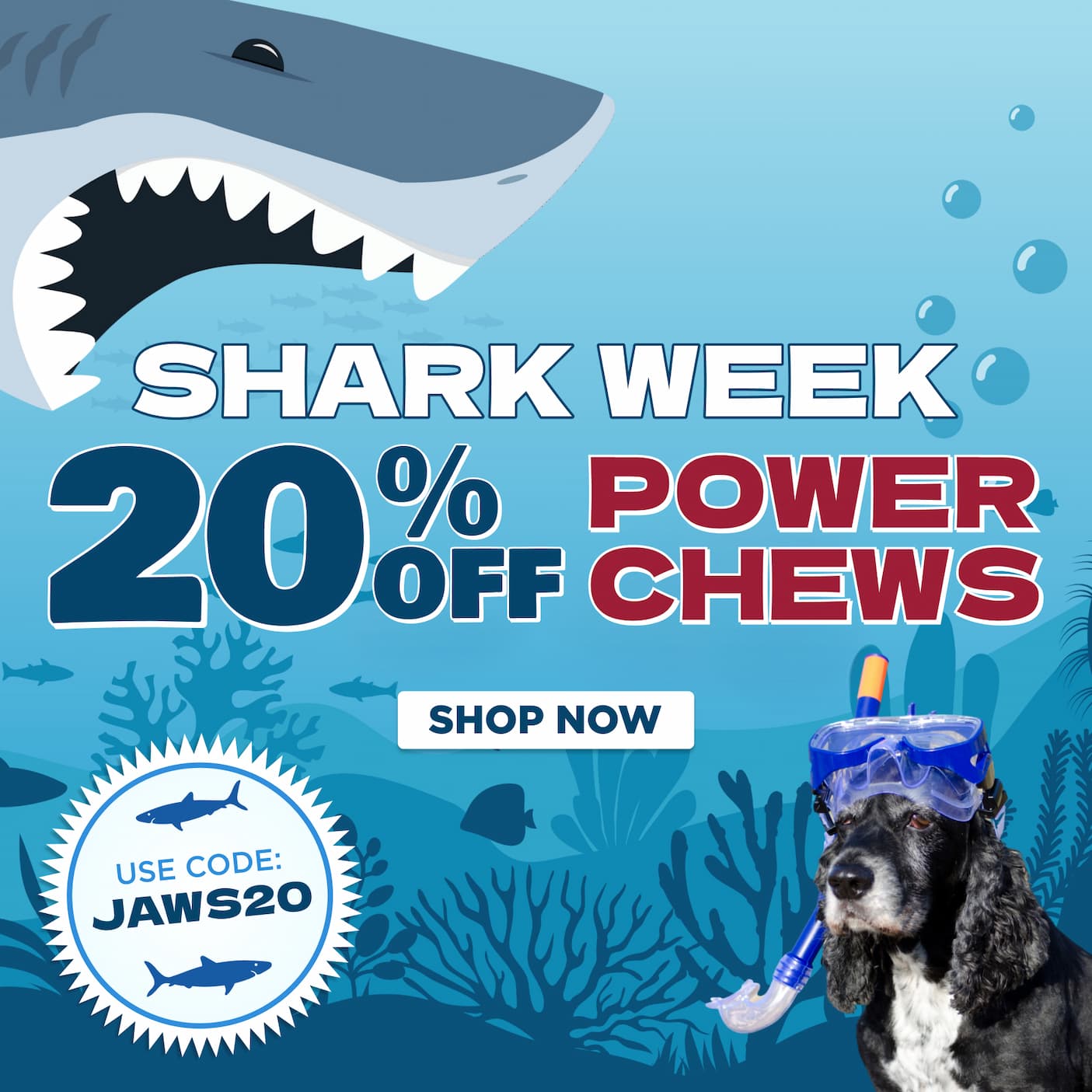 20% off power chews code jaws20