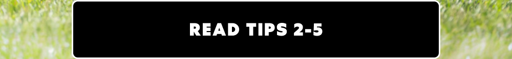 EEAD TIPS 2-5 