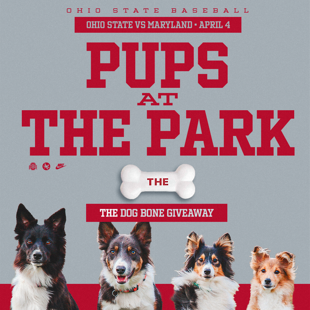 SERIES PROMOTIONS | Pups at the Park