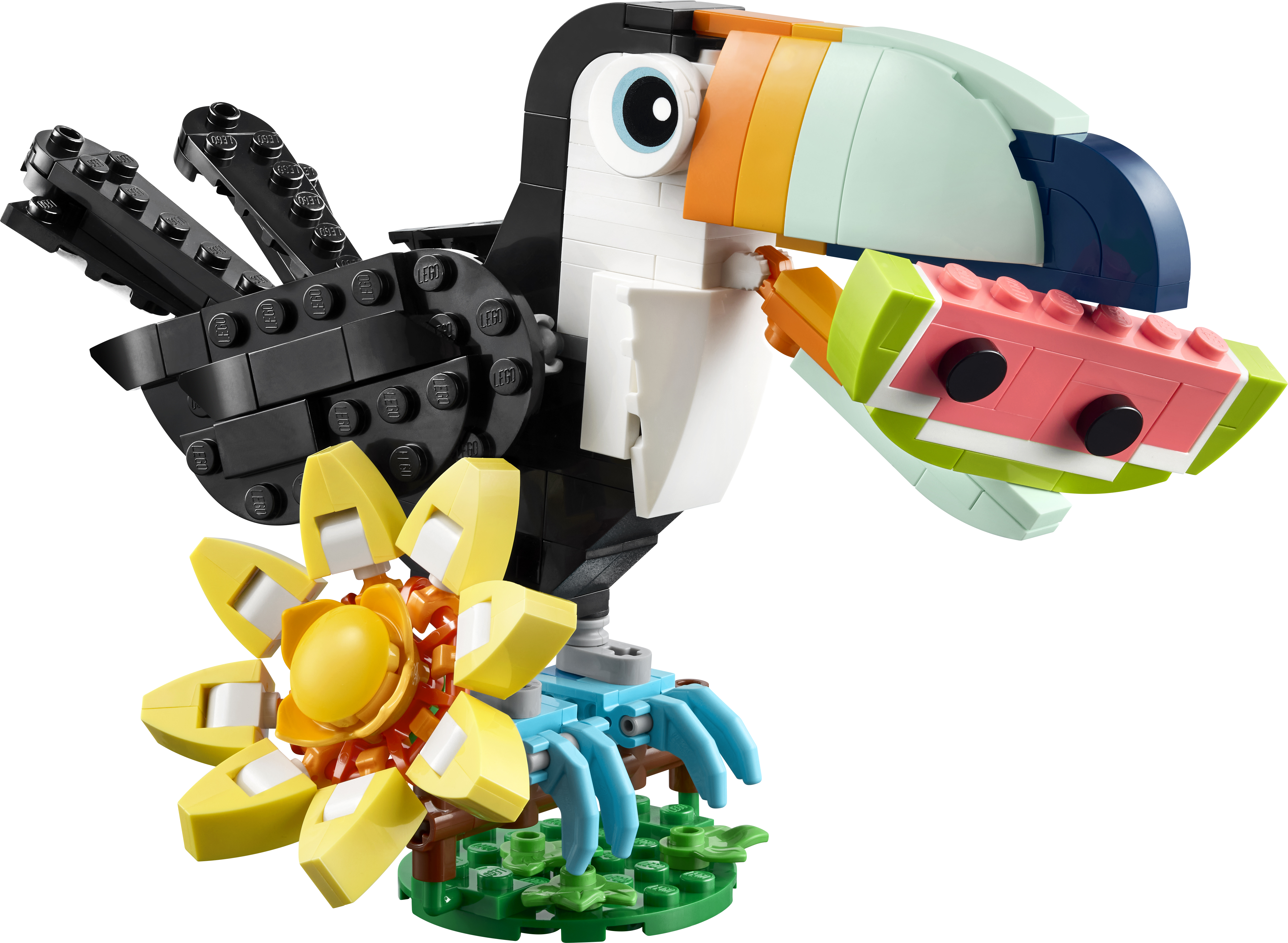Wild Animals: Tropical Toucan