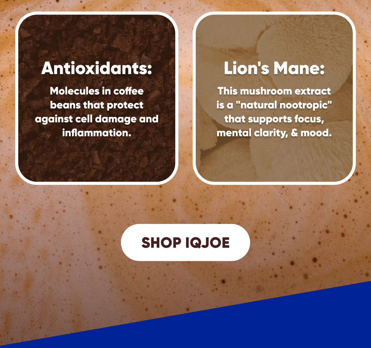 Shop IQJOE