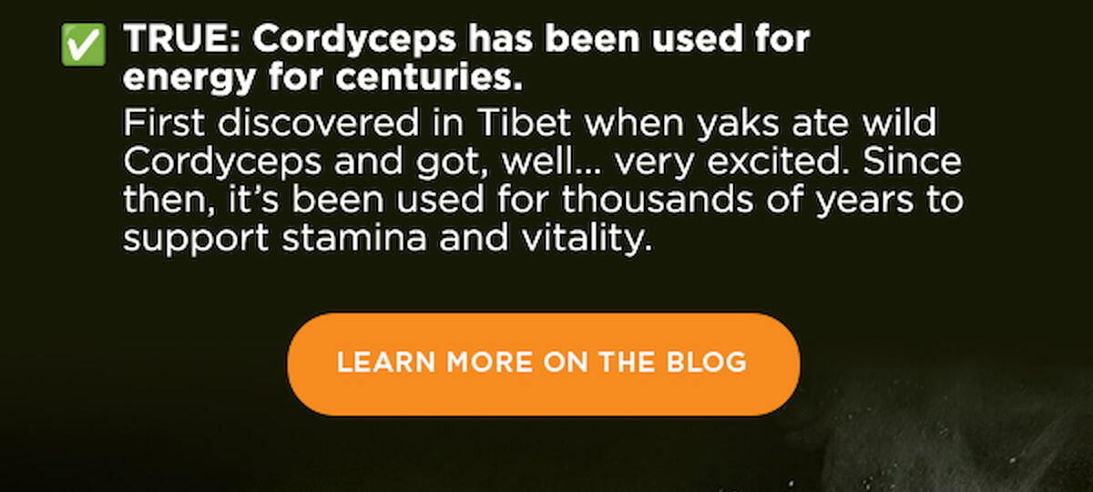 LEARN MORE ON THE BLOG