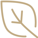 Tea Icon