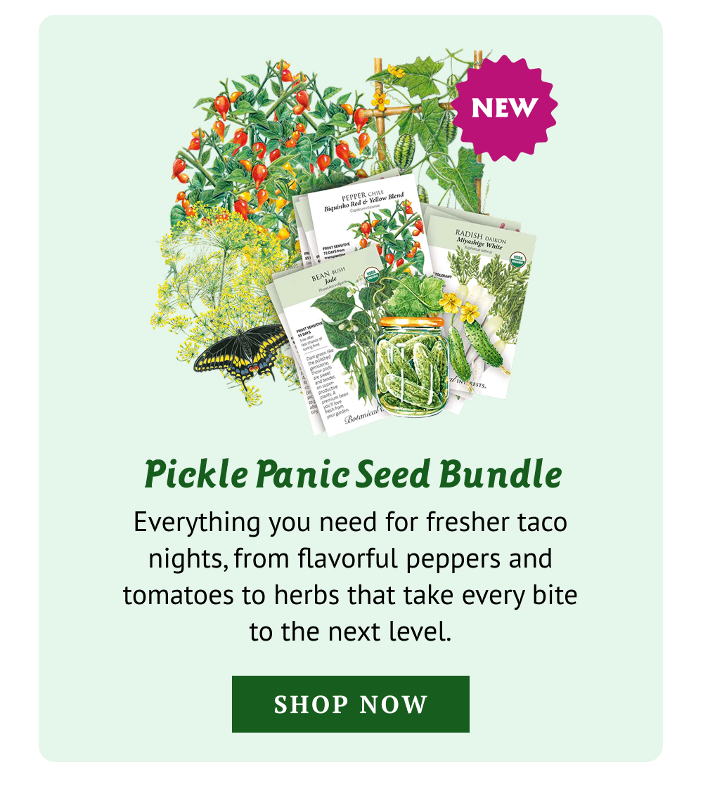 Grow your own pickling favorites with a bundle made for crisp cucumbers, fragrant dill, and delicious homemade jars all season long.