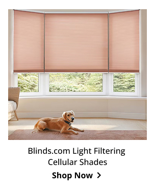 Blinds.com Light Filtering Cellular Shades | Shop Now >