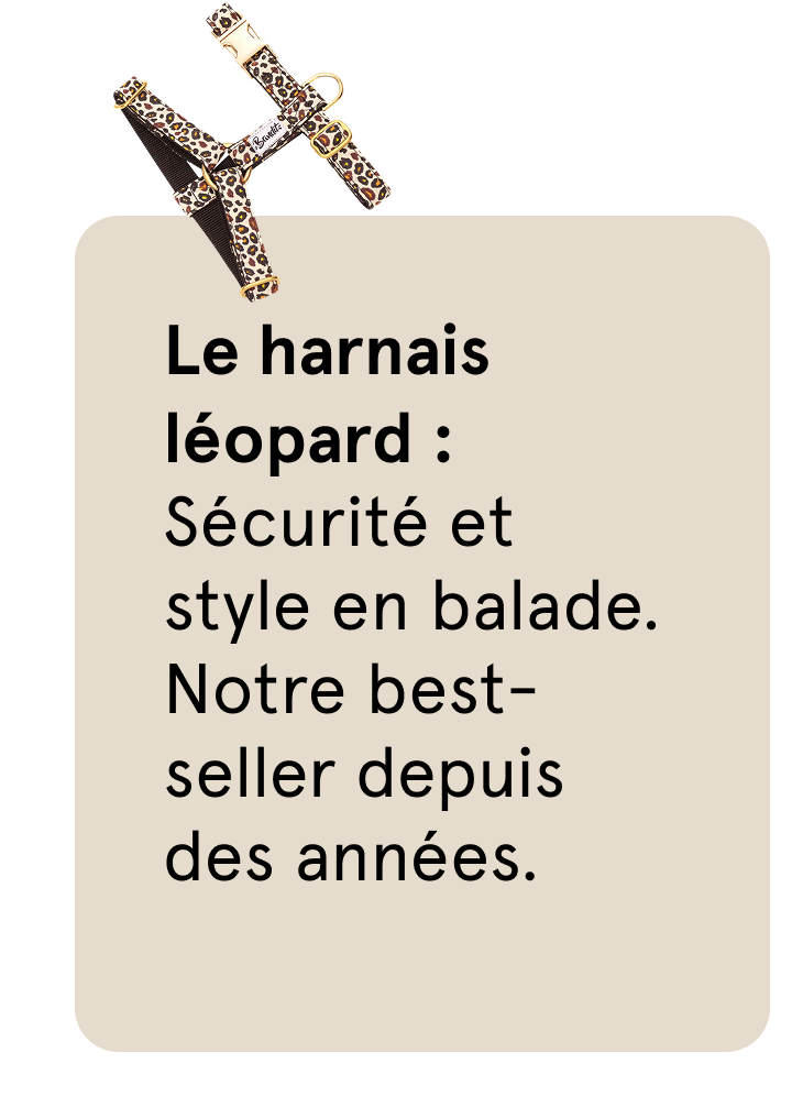 Harnais