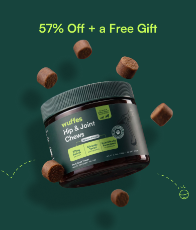 Hip and Joint Chews