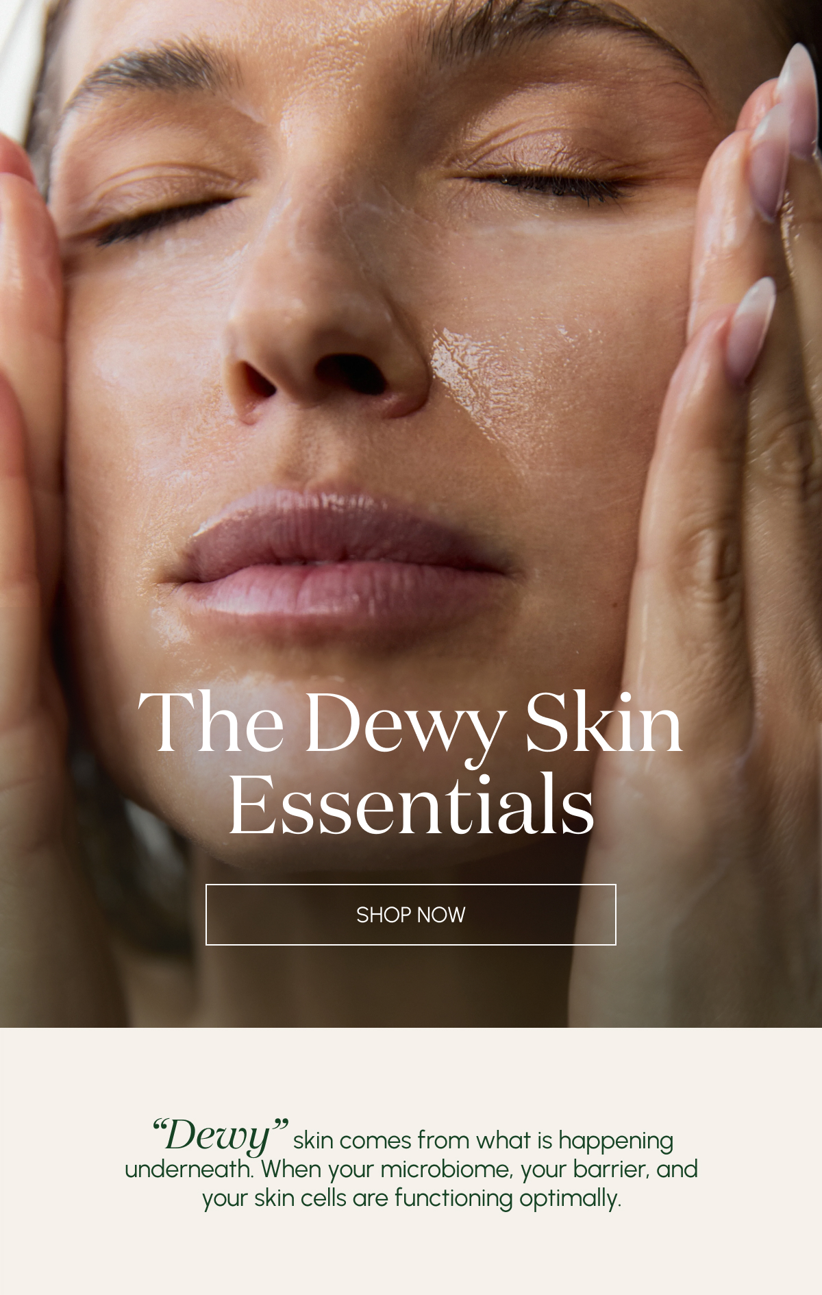 The Dewy Skin Essentials