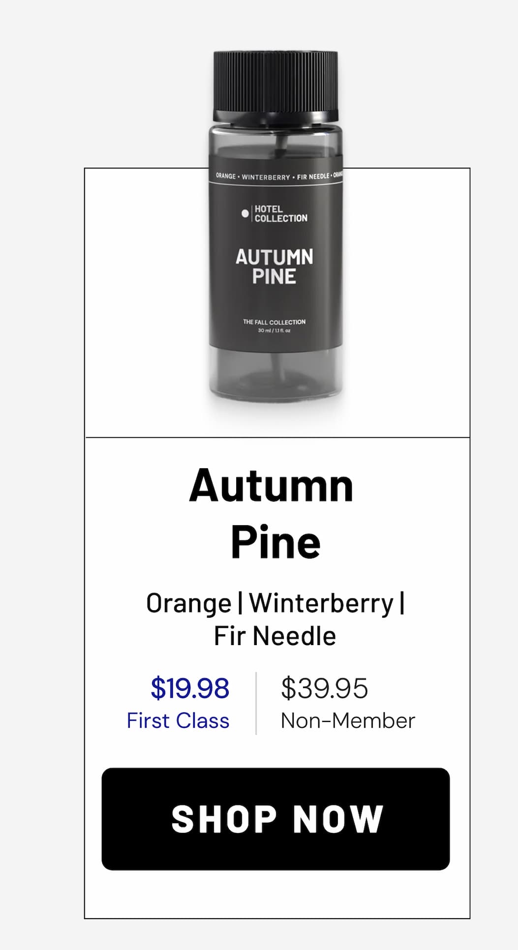 AUTUMN PINE | SHOP NOW