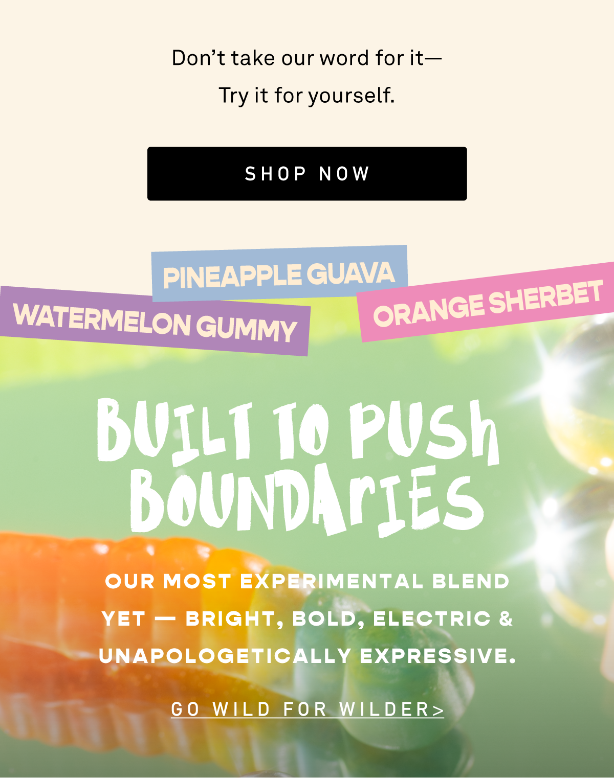 Shop Wilder