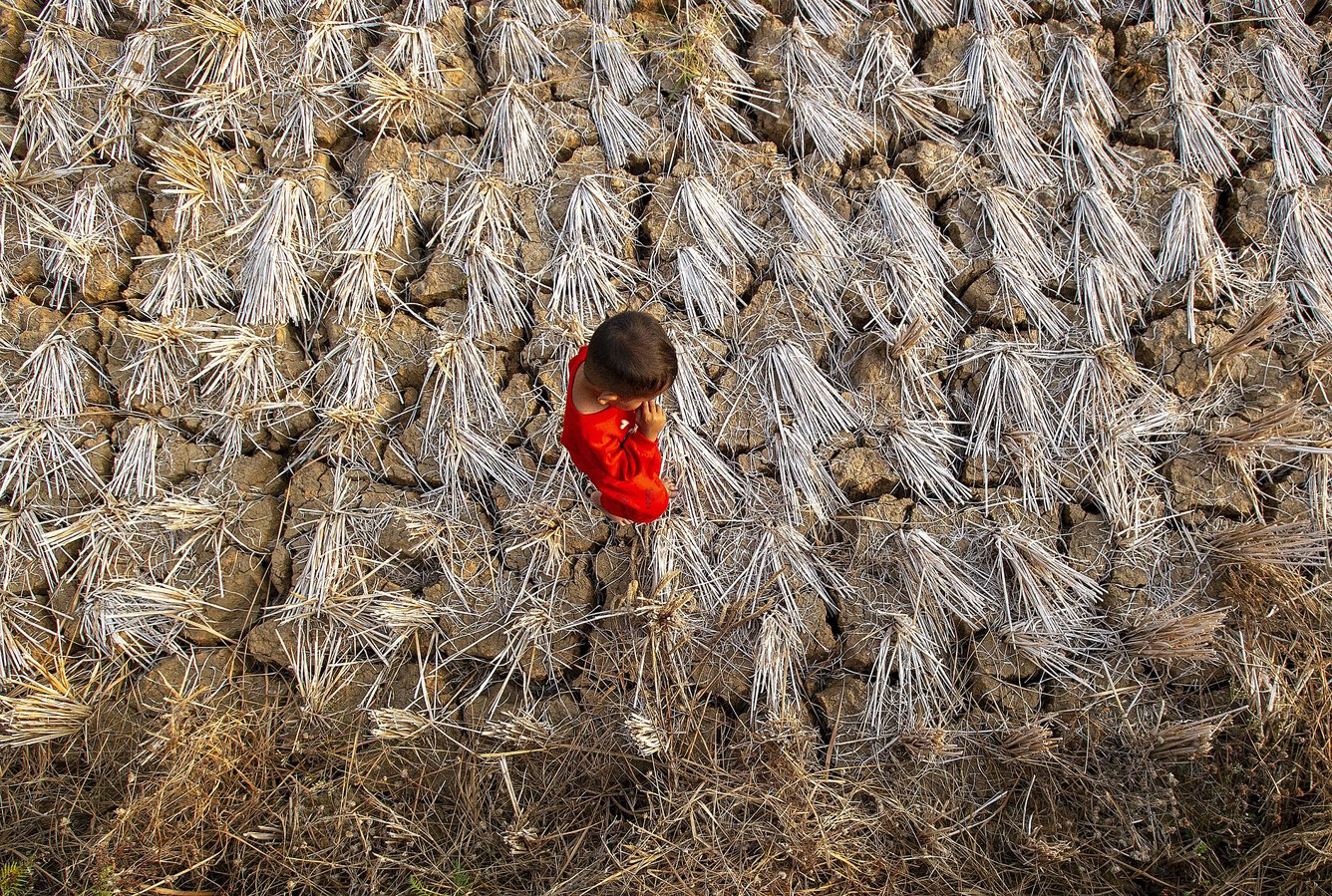 Child in Indonesia walking through dry rice paddy