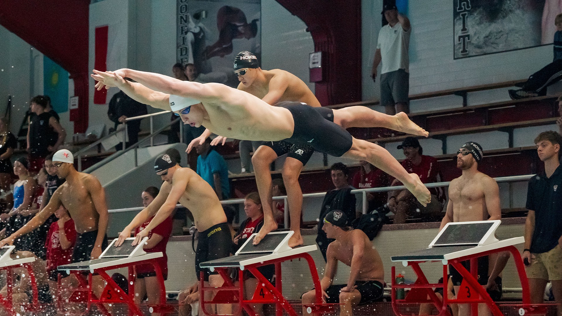READ MORE | No. 11 Men's & Women's Swim & Dive